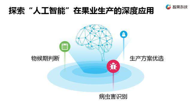 鄉村振興，科技賦能 新一代農業信息技術企業的軟件戰略